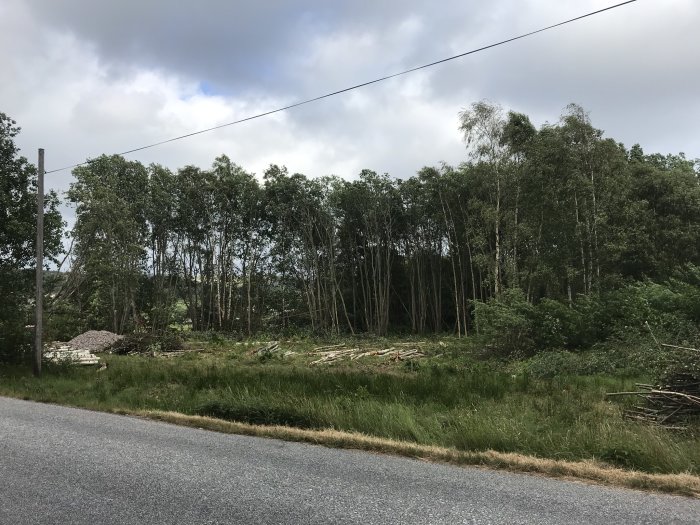 Trädfällningsarbete vid skogskant med nedfallna träd och högar av grenar och ved längs en väg.