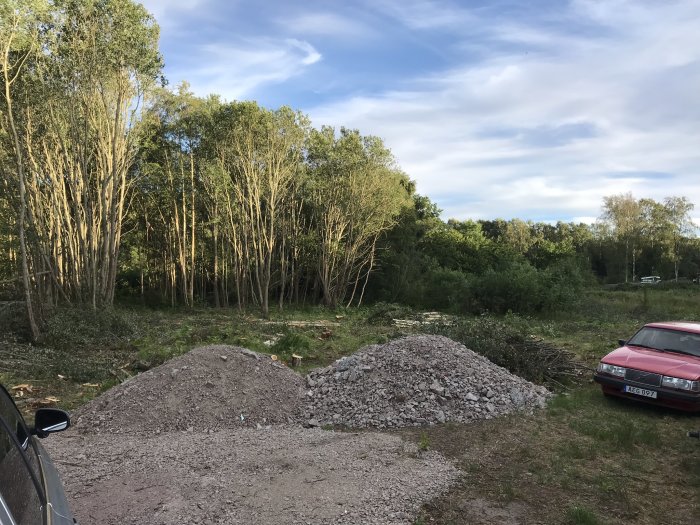 Område med nyligen fällda träd och två högar av grus framför en skogsbakgrund.