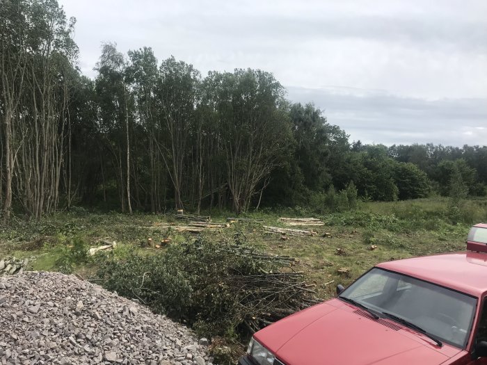 Omarkerad skogsområde med nyligen fällda träd och högar av grenar; framkant syns del av en röd bil och stenar.