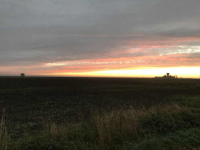 Morgonvy över ett öppet fält med silhuetter av träd och byggnader mot en himmel i gryning.