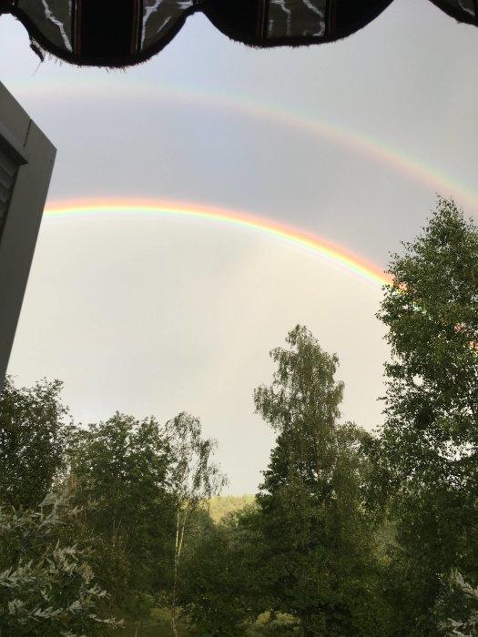 Dubbel regnbåge över en lummig trädgård, tagen från en veranda.