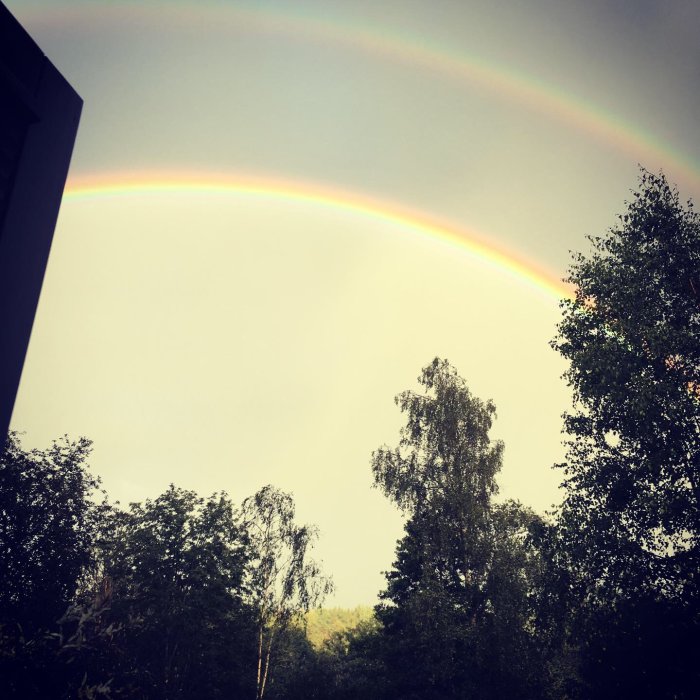 Dubbel regnbåge över ett trädlandskap mot en mörknande himmel.