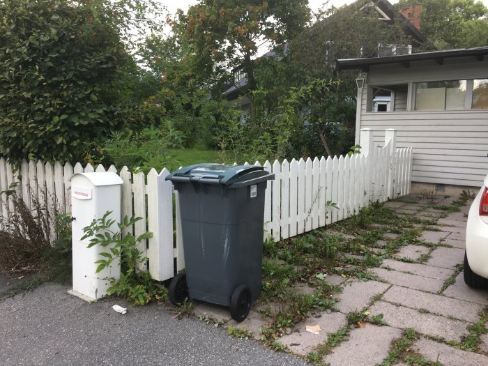 Ogräs Uppfart.JPG
