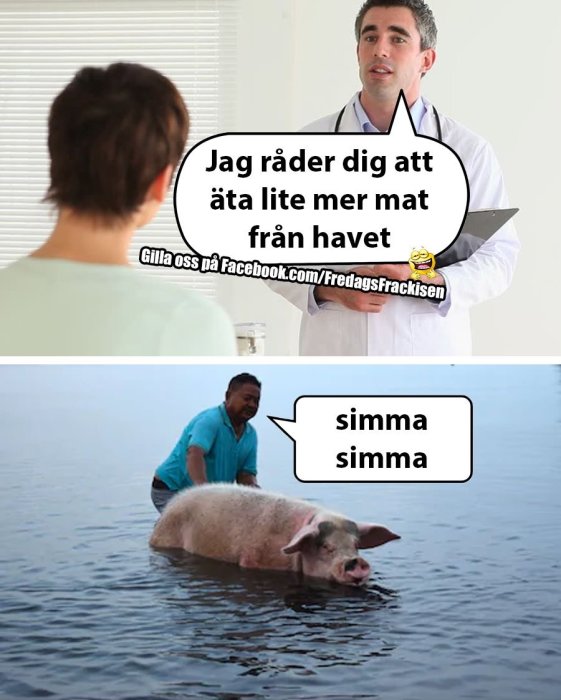 Övre delen visar en läkare som ger råd till en patient, nedre delen en man som simmar med ett gris i vattnet, båda med pratbubblor.