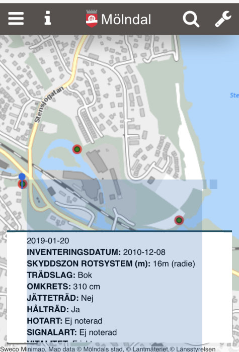 Karta från Mölndals kommun som visar positionen av ett skyddsvärt träd märkt med detaljerad information om inventeringsdatum, art och omkrets.