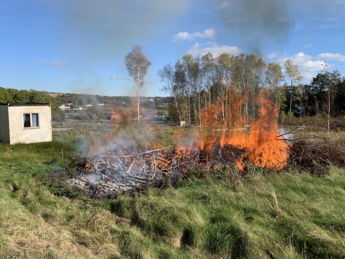 Arbetsbod nära en stor brasa på en nyköpt tomt, blå himmel och träd i bakgrunden.