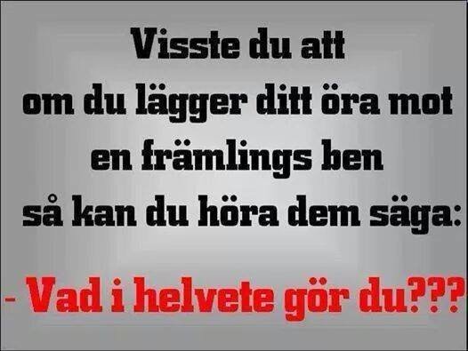 Textmem om att lägga örat mot en främlings ben och få en reaktion, "Vad i helvete gör du???