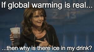 Kvinna med glasögon håller ett dricksglas, texten ifrågasätter global uppvärmning med is i drycken.