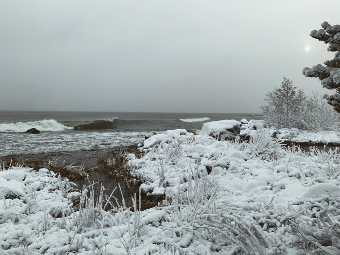 Vinterlandskap med snötäckt strand och vågor i havet, med svagt solljus genom moln.