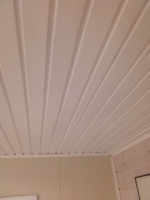 JPEG_20191110_185845_3376341318465135673.jpg