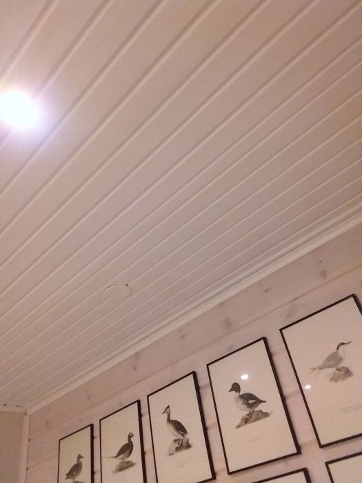 JPEG_20191110_190007_5054481094360815949.jpg