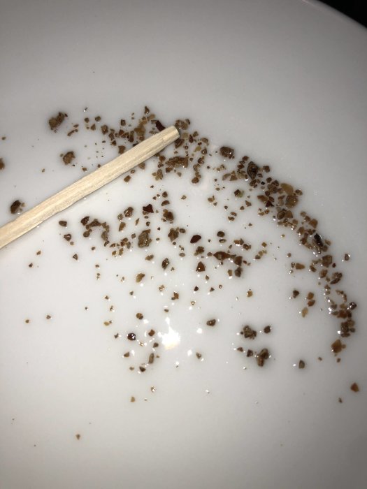 Partiklar jämförda med en tändsticka på vit tallrik för storleksuppskattning