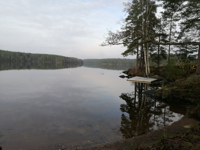 Speglingsblank sjö med brygga och träd som speglar sig i vattnet på en vindstilla dag.