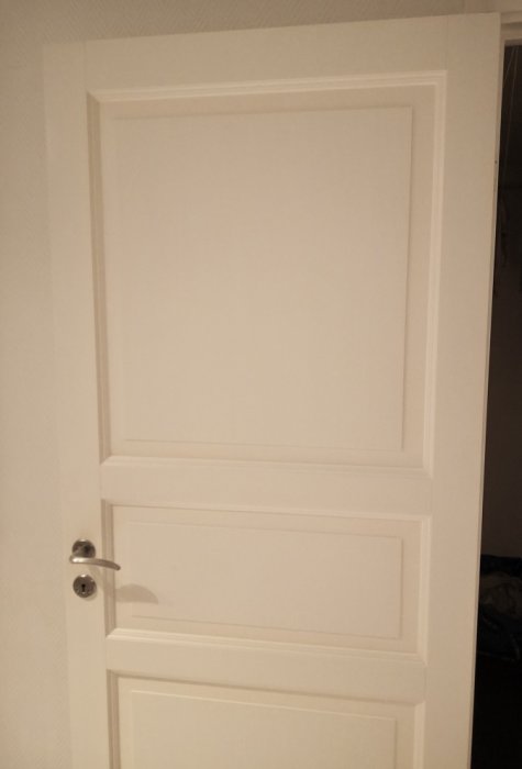 Nyss sprutmålad vit dörr med paneler i en källare, ser ren och fräsch ut.