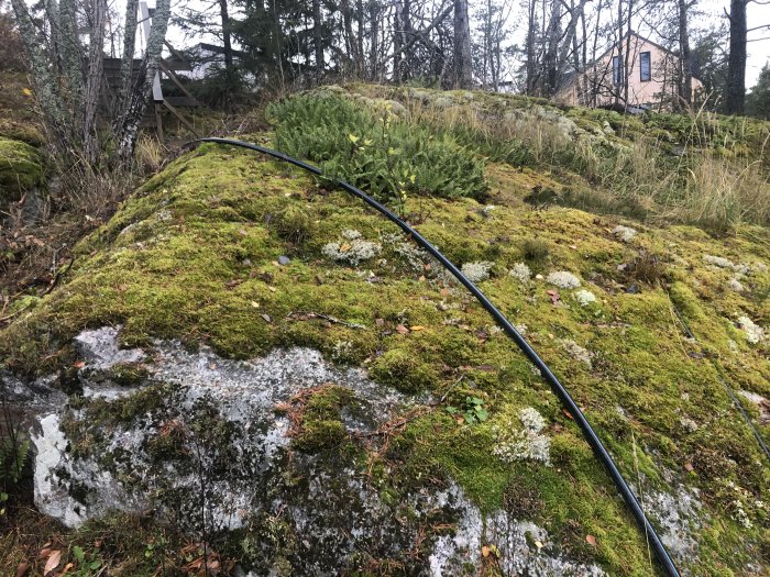 Fiberkabel dragen ovan mark över mossig klippa med en stuga i bakgrunden.