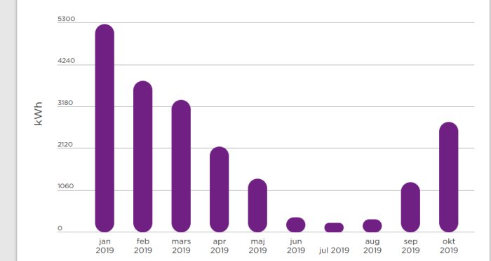 Stapeldiagram som visar månatlig fjärrvärmeförbrukning i kWh under 2019, med en topp i december.