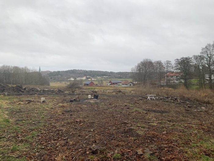 Nyröjd tomt med stubbar och hopar av sly, en vit trästol syns i förgrunden, hus i bakgrunden.