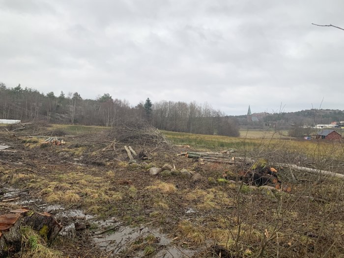 Tomt med nyligen fällda träd, grenhögar och markerat för markarbeten, i bakgrunden syns landskap.