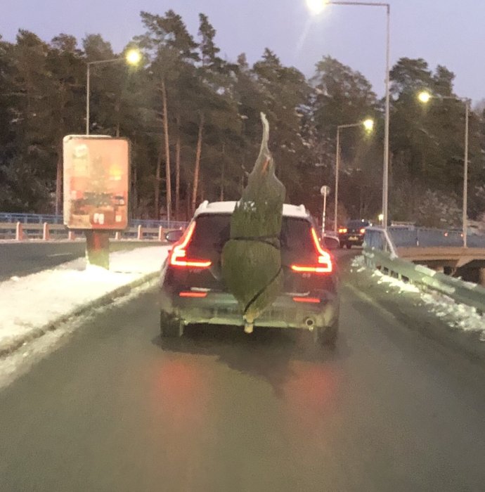 Julgran står upprätt på en bils dragkrok på en snöig väg vid skymningen.