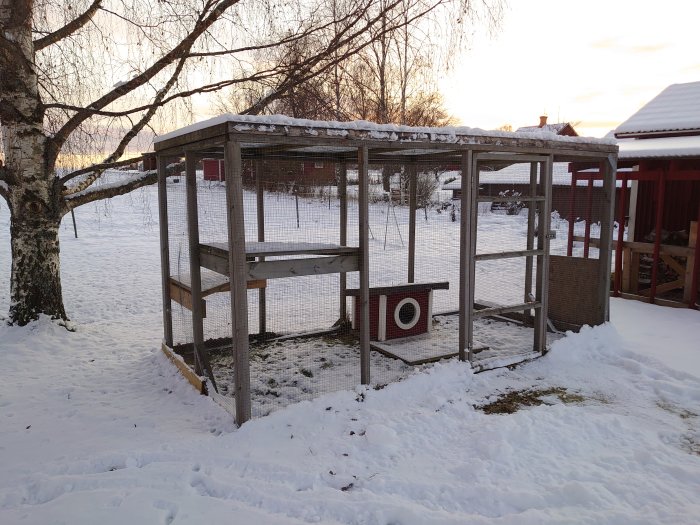 Kattgård av trä och nät i en snötäckt trädgård med träd och hus i bakgrunden.