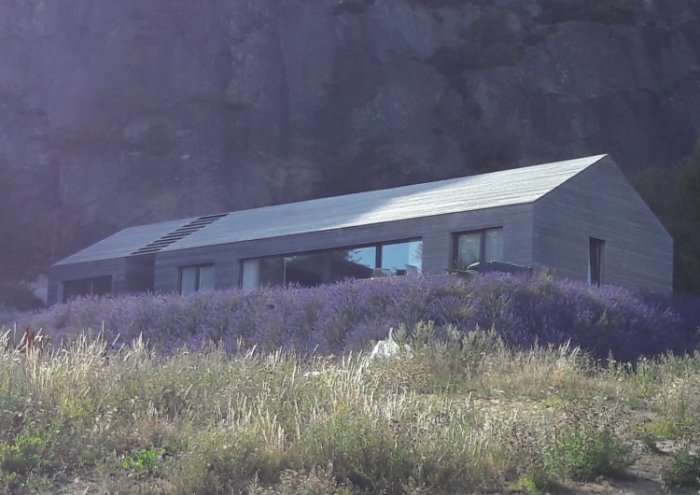 Modernt hus med obehandlat trä behandlat med järnvitriol omgivet av lila blomster.