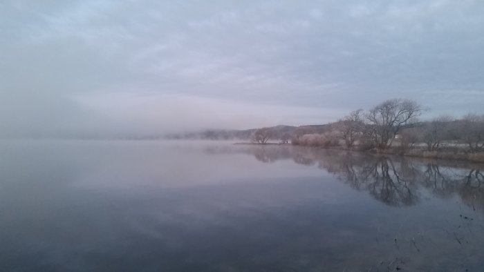 Dimmig sjöutsikt med speglingar av lövfällande träd i det stilla vattnet under en tidig morgon.