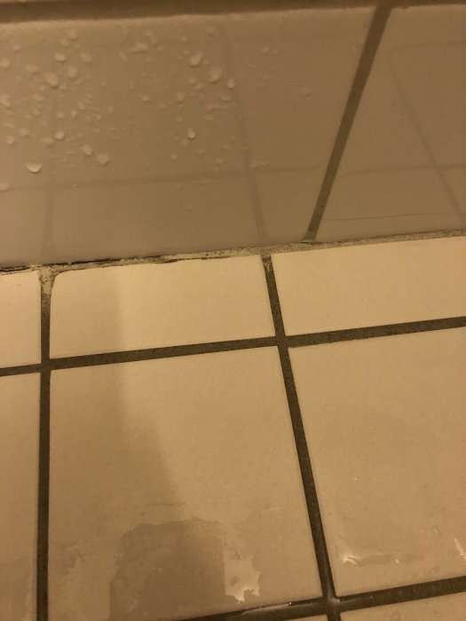 Svartmögel mellan golvkakel och vägg i duschen, skadad fog synlig.
