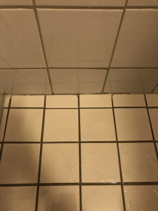 Svart mögel mellan vita väggkakel och golvkakel i dusch där fogen inte sluter tätt.