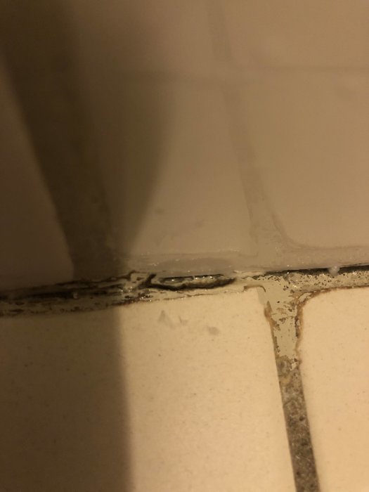Svartmögel och otät fog mellan väggkakel och golv i duschen.