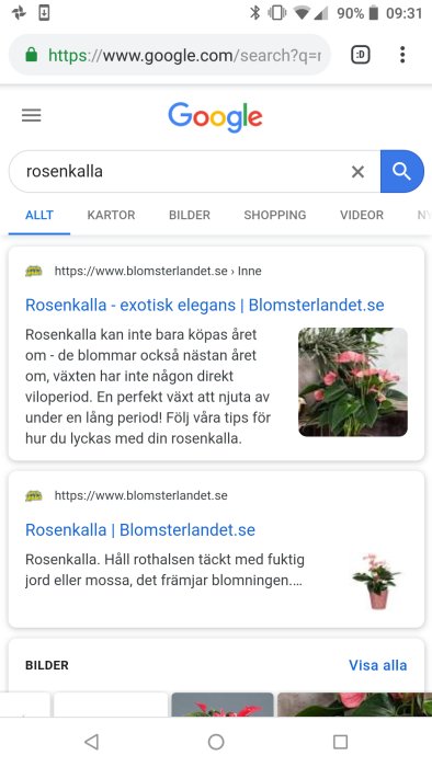 Smarttelefonskärm visar Google-sökning för 'rosenkalla' med öppna flikar och sökresultat.