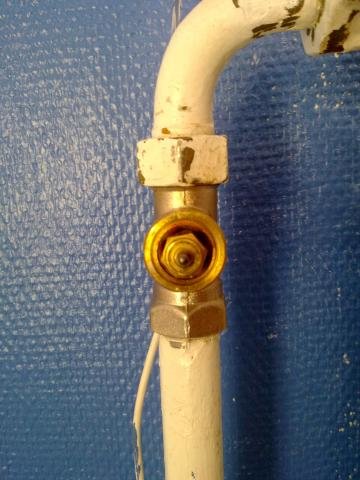 20100904012.jpg