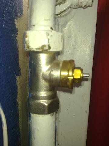 20100904013.jpg