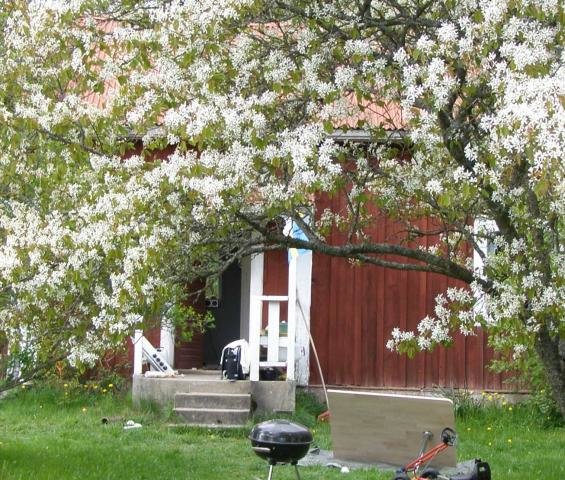 P5120246.jpg