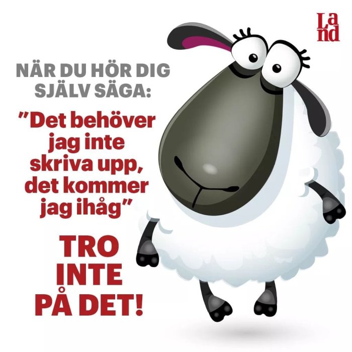 Tecknad bild av ett får med text som säger "Det behöver jag inte skriva upp, det kommer jag ihåg" och "Tro inte på det!