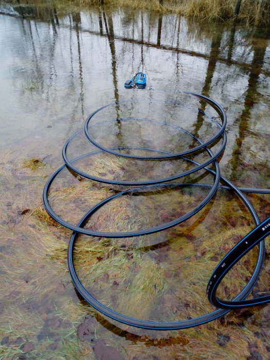 Långt svart pem-rör och dränkpump i översvämmad trädgård vid sjö.