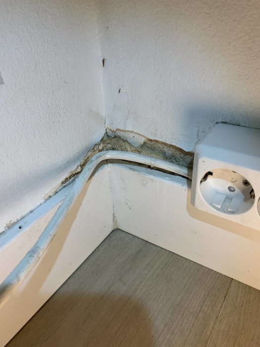 Mögelangrepp i hörnet av ett rum där texturtapet är borttagen nära golvlisten och en eluttag.