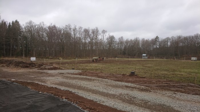 Byggprocess av en paddock med grusvägar, hästar och skog i bakgrunden.