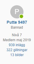 Användarprofil för Putte 9497 på forum som visar statusen "Bannad" med statistik för inlägg och gillningar.