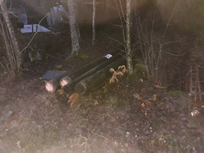 Nedsågade trädstockar på marken i en skogsmiljö vid skymning, med byggavfall i bakgrunden.