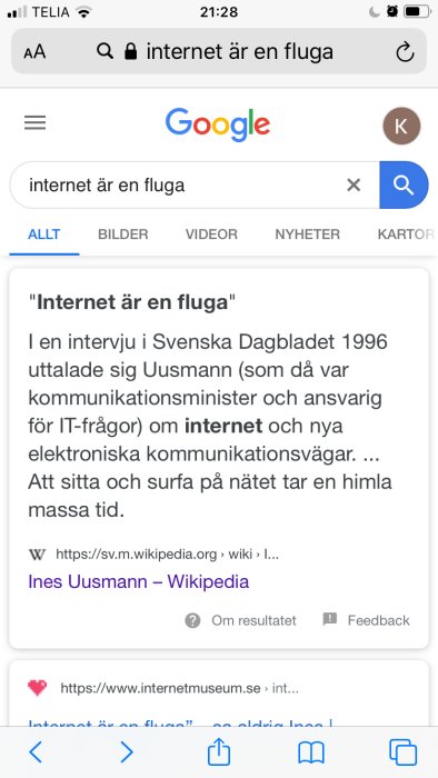 Skärmavbild av Google-söksida med frasen "internet är en fluga" och sökresultat som refererar till detta.