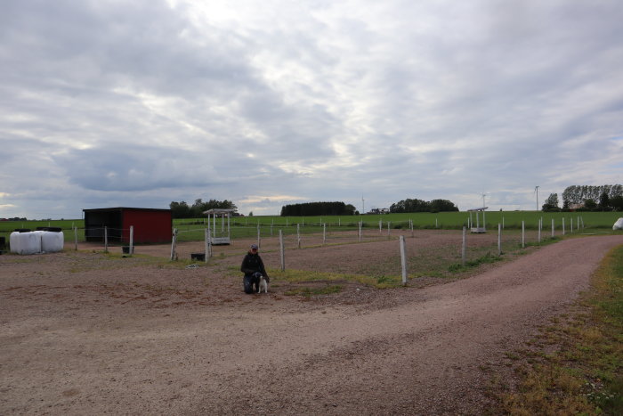 Person sittandes på en pall med en hund vid sin sida på en blivande byggarbetsplats för ett ridhus.