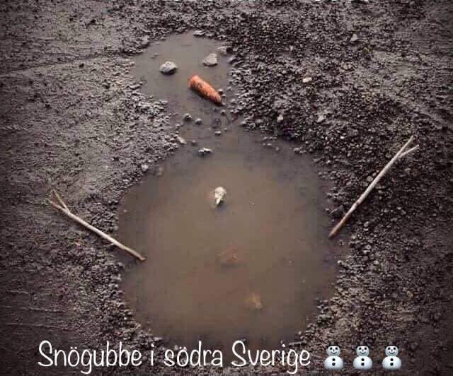 Smält snögubbe representerad av pöl med morot och kvistar på grått underlag, en humoristisk bild på vinter i södra Sverige.