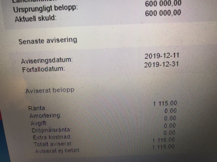 Skärmbild av låneavi med noll kronor i amortering och ränta betecknat på ett lån.