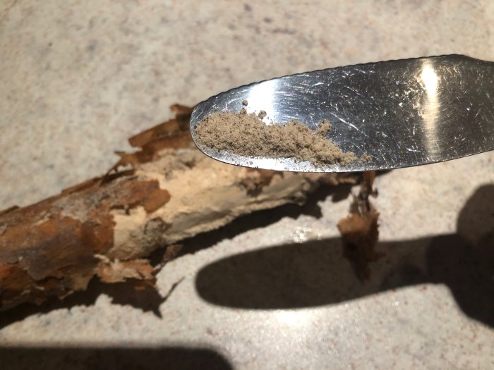 Skev metallsked håller spån från gnagarskadad vedbit.