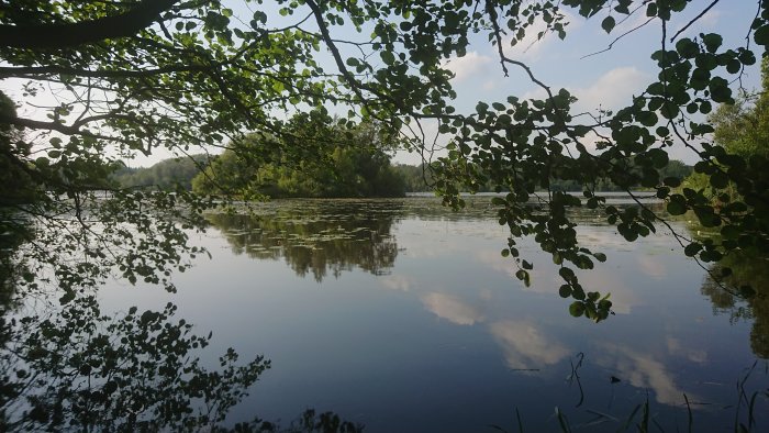 Spegling av träd och himmel i en lugn sjö, sett genom en ram av lövverk.