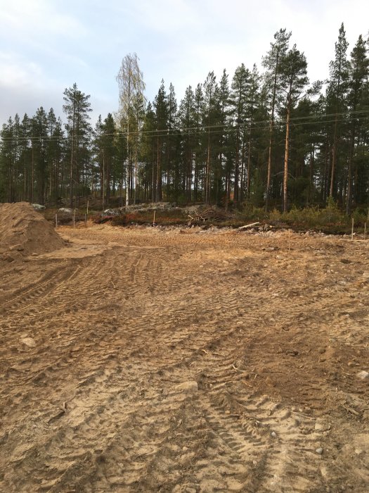 Markarbete på byggtomt med uppkörda spår och skog i bakgrunden.