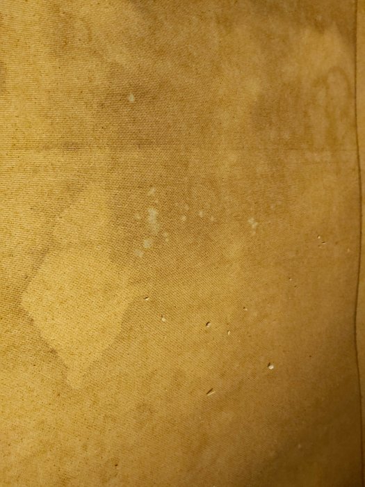 20191225_150310.jpg