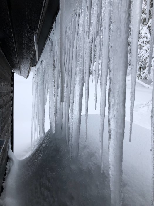 Långa istappar hänger från taket av ett snötäckt hus, snödrivor når upp mot takfoten.