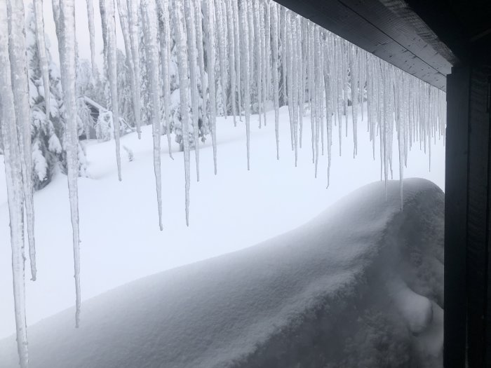 Långa istappar hänger från hustakets kant med en stor snödriva mot skogsbakgrund i Dalarna.