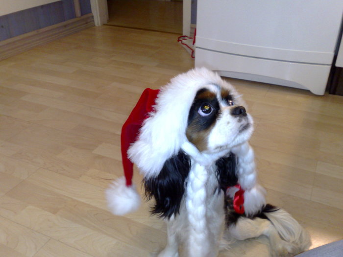 20071222224.jpg
